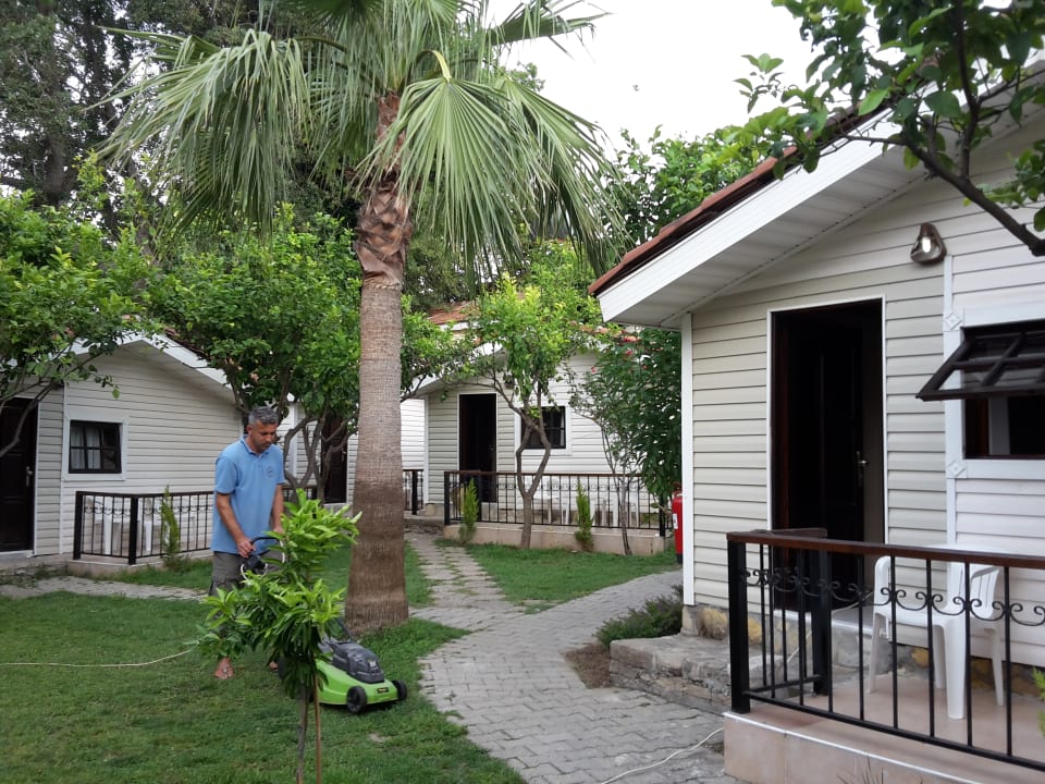 Gartenanlage Leda Beach Hotel