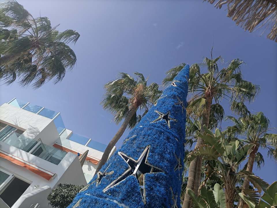 Pool Bahia Calma Beach