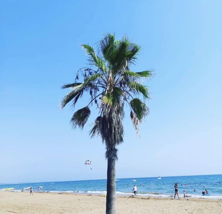 Strand Hotel Süral Resort