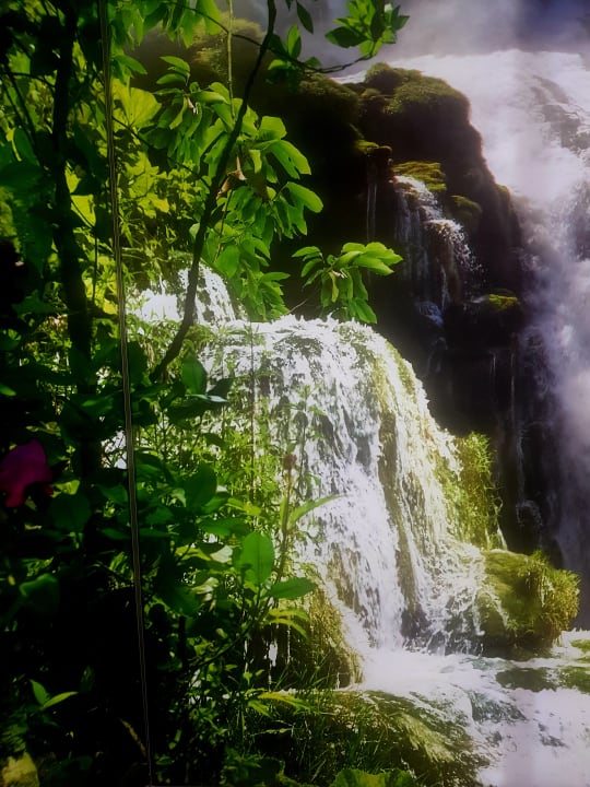 Sonstiges Tropical Islands Resort