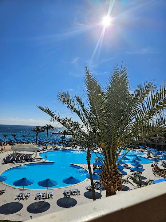 Zimmer Beach Albatros Resort
