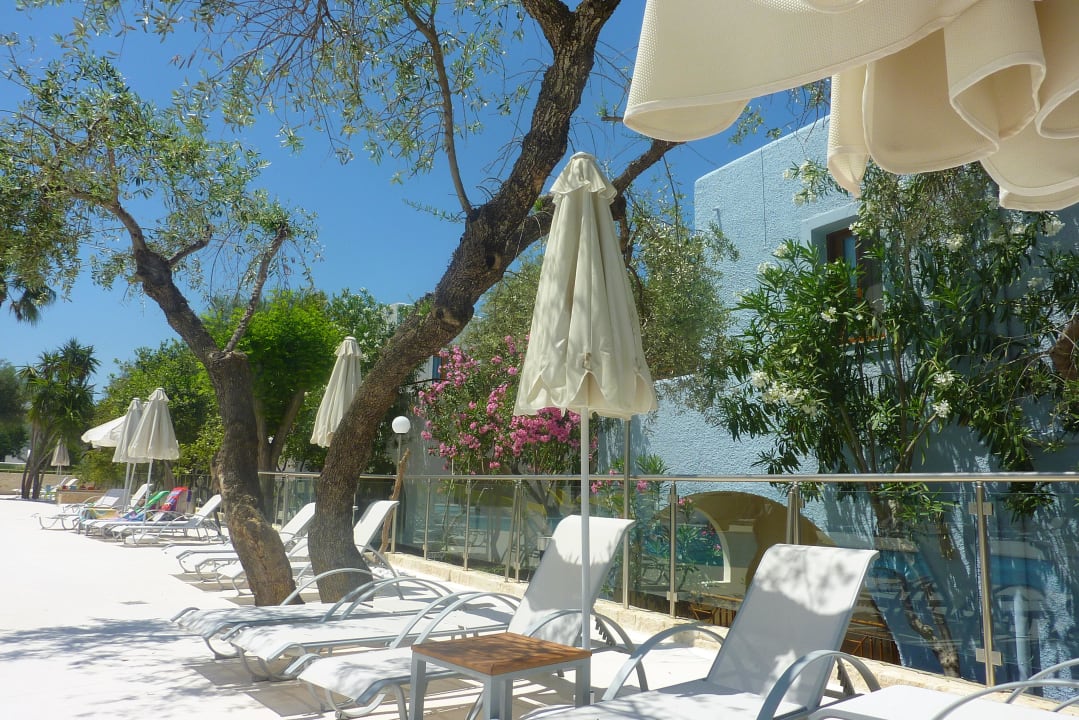 Przy basenie Sirios Village Hotel & Bungalows