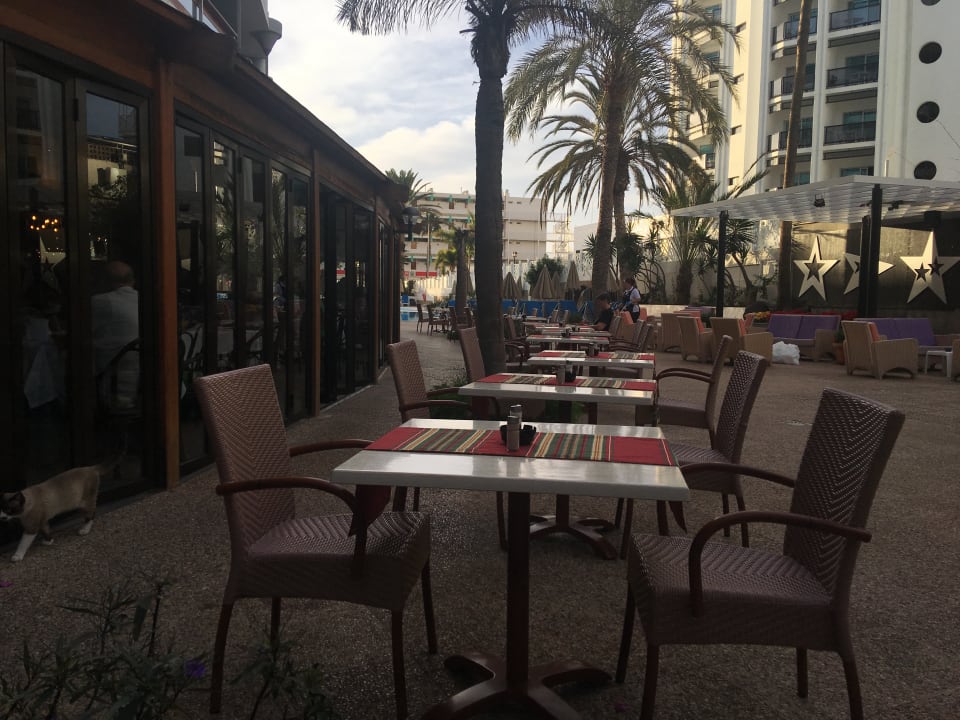 Nicht nochmal Hotel Escorial? Bull Escorial & Spa