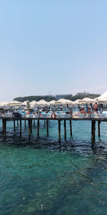 Gastro Granada Luxury Okurcalar