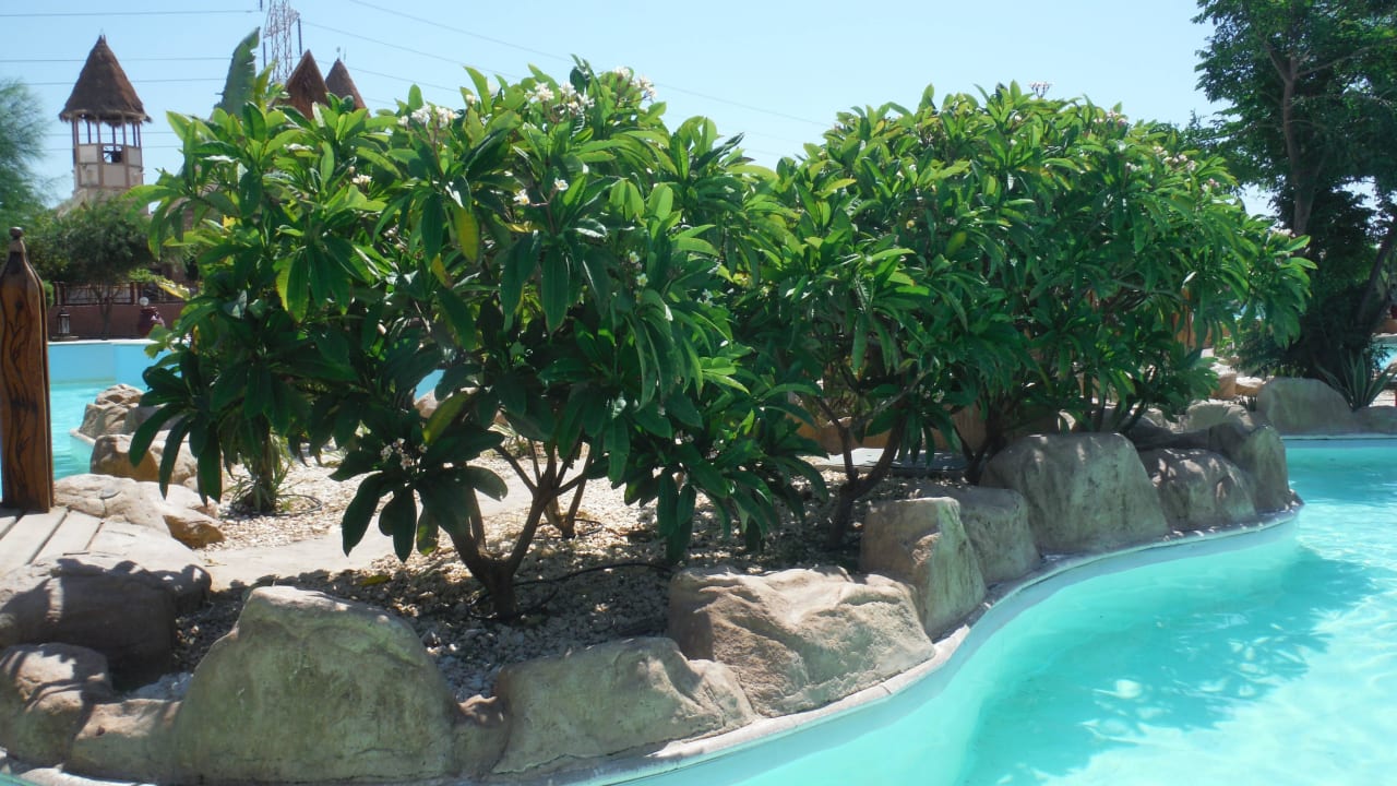 Bepflanzung im Aquapark Pickalbatros Jungle Aqua Park Resort - Neverland Hurghada