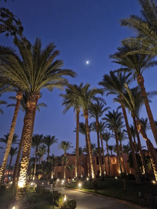 Gartenanlage Jaz Makadi Oasis Resort