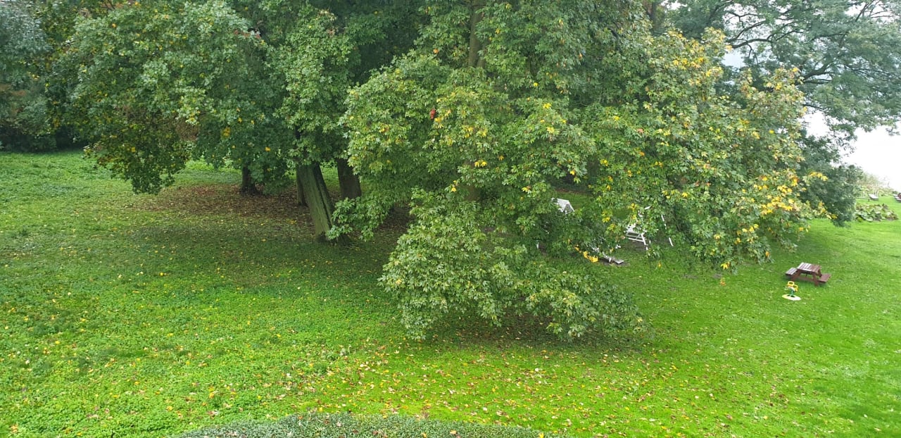 Gartenanlage Hotel Palac Bialokosz