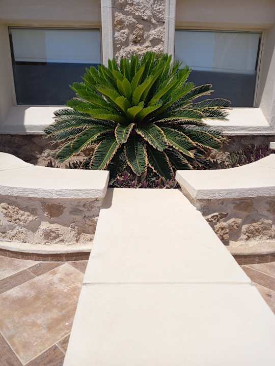 Ausblick Pickalbatros Citadel Resort