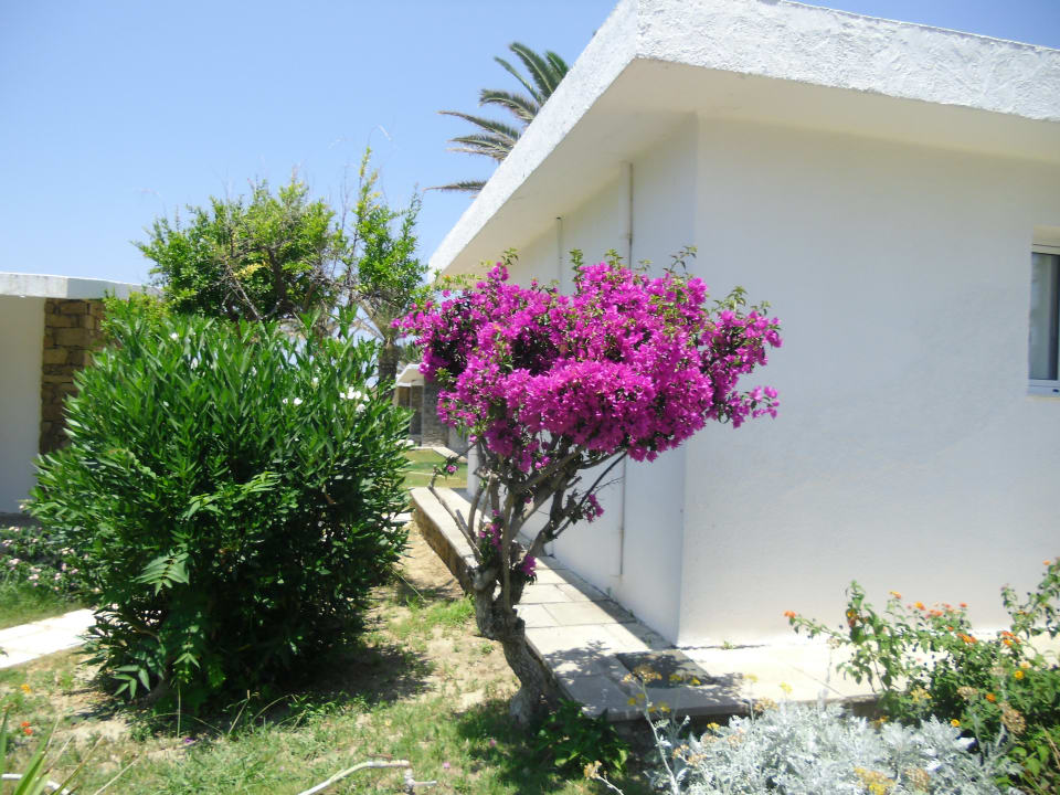 Gartenanlage Civitel Creta Beach