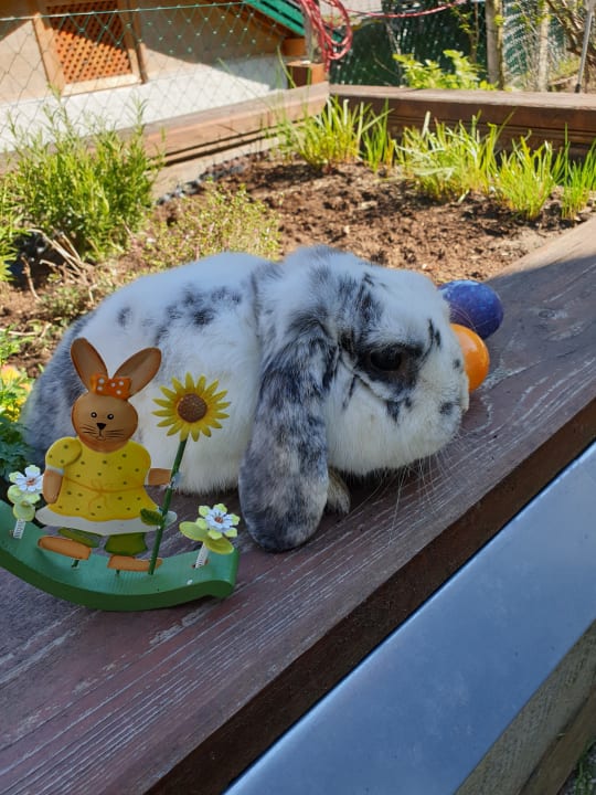 Sonstiges Hotel-Pension Ötzmooshof