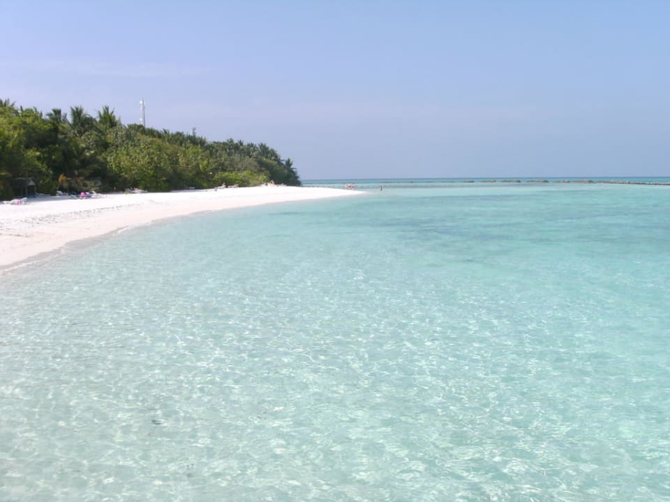 Strand Summer Island Maldives