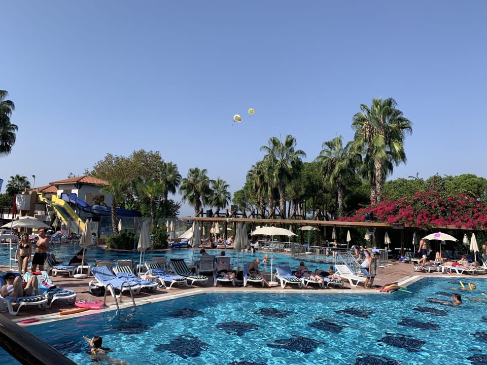 Pool Trendy Palm Beach (Adults Only, 16+)