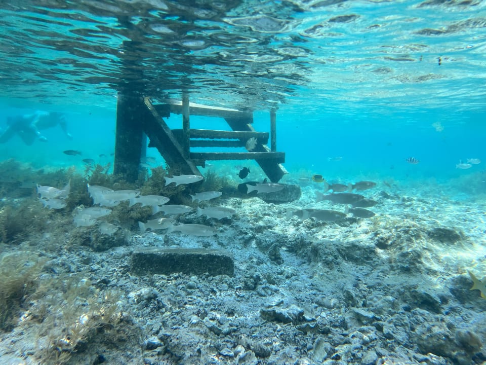Strand Lazuli Hotel Marsa Alam