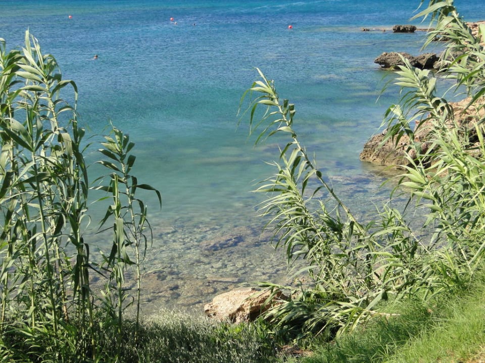 Crystal Springs Beach Hotel Crystal Springs Beach Hotel