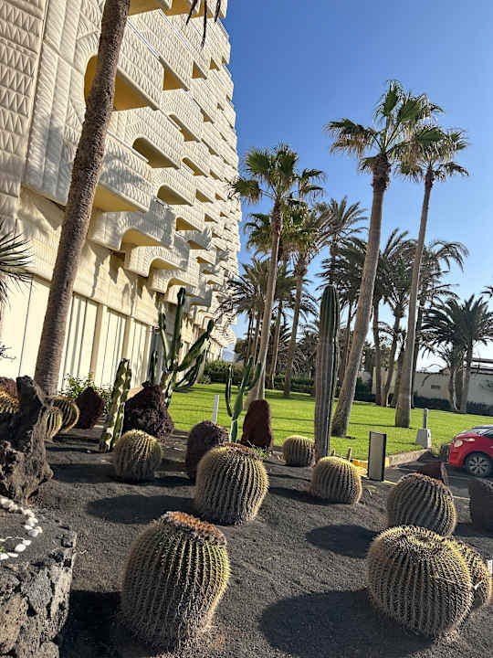 Gartenanlage Hotel Riu Palace Tres Islas