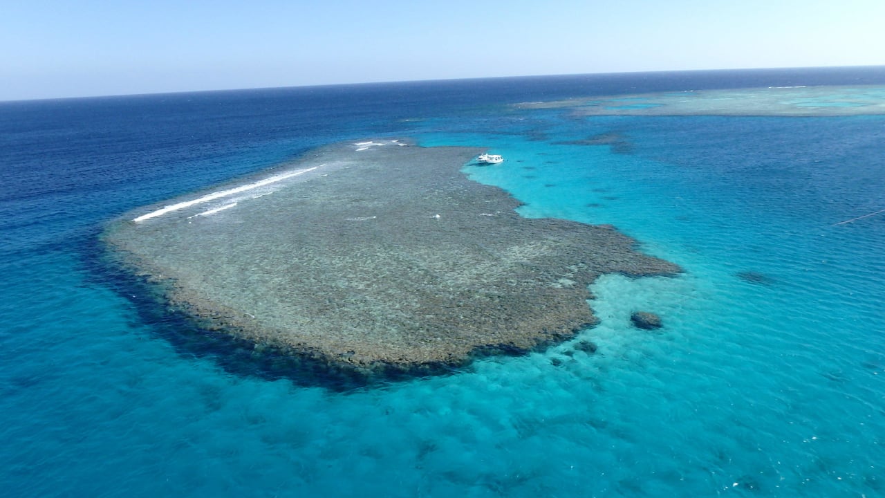 Riff vorm Steg, leider nicht ohne Schiff erreichbar Stella Garden Resort & Spa, Makadi Bay