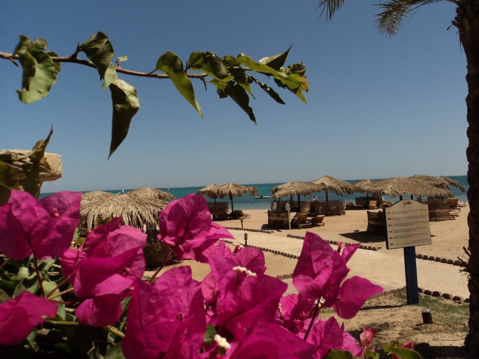 Blick auf´s Meer von einer Strandbar aus Sentido Caribbean World Soma Bay
