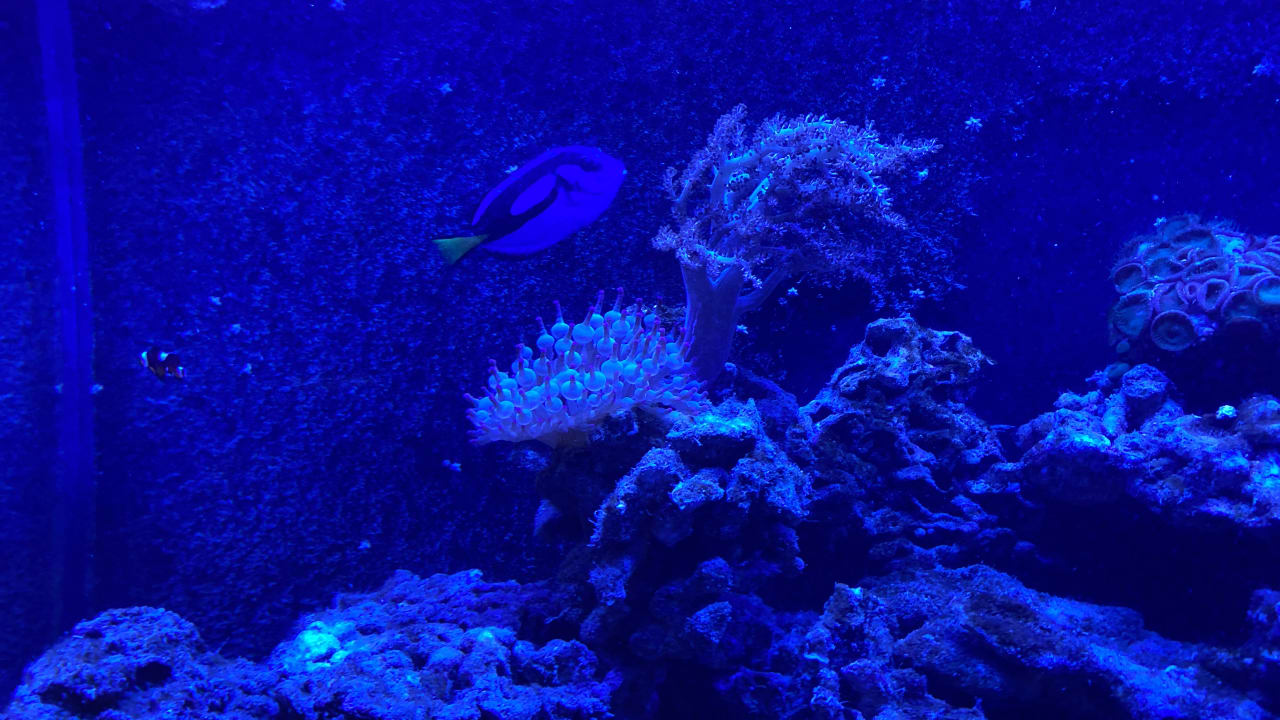 Sonstiges Hotel Aquarius Spa