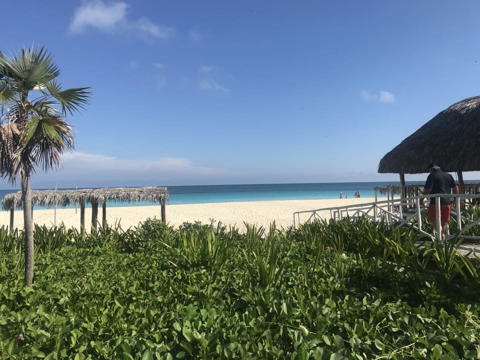 Ausblick Hotel Melia Cayo Coco - Adults only