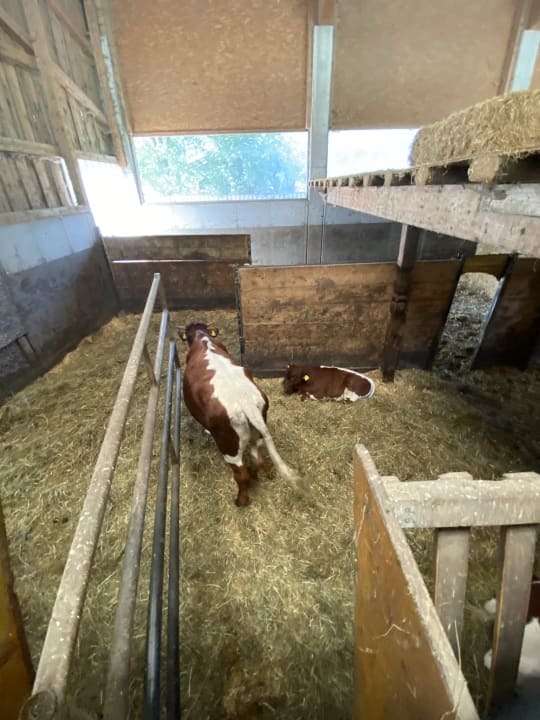 Sport & Freizeit Kinderhotel Felben