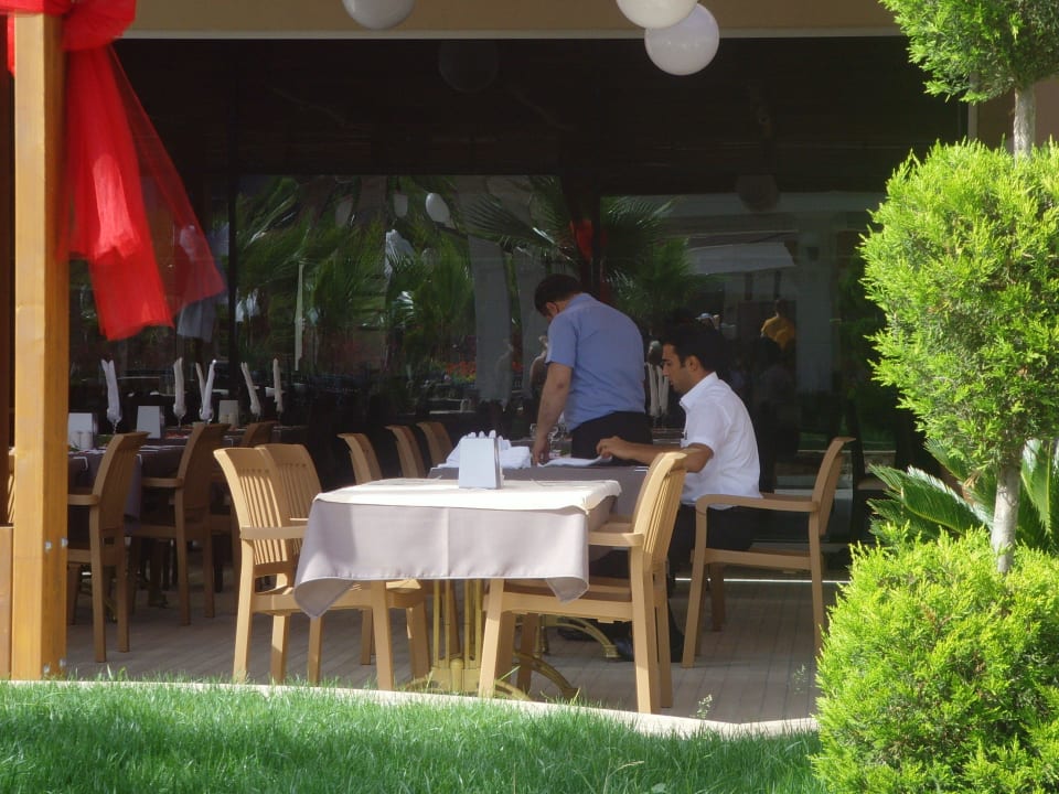 Die super fleißigen..... Dizalya Palm Garden