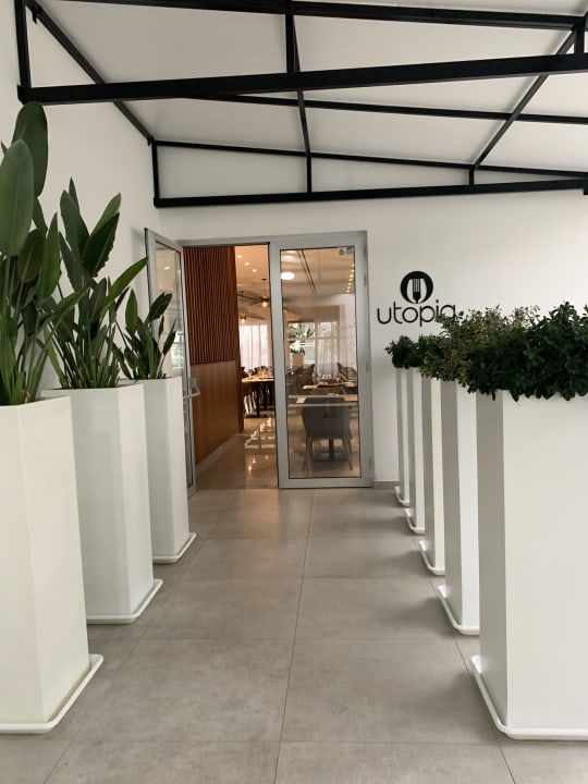 Sonstiges The Blue Ivy Hotel & Suites