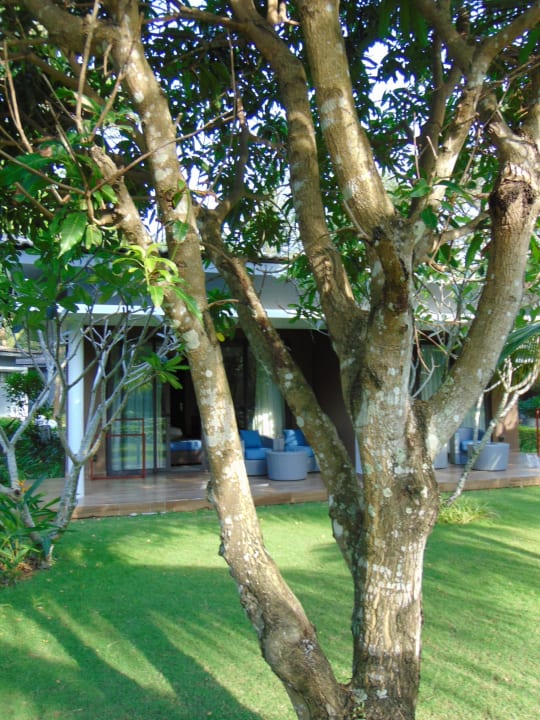 Gartenanlage Novotel Phu Quoc Resort