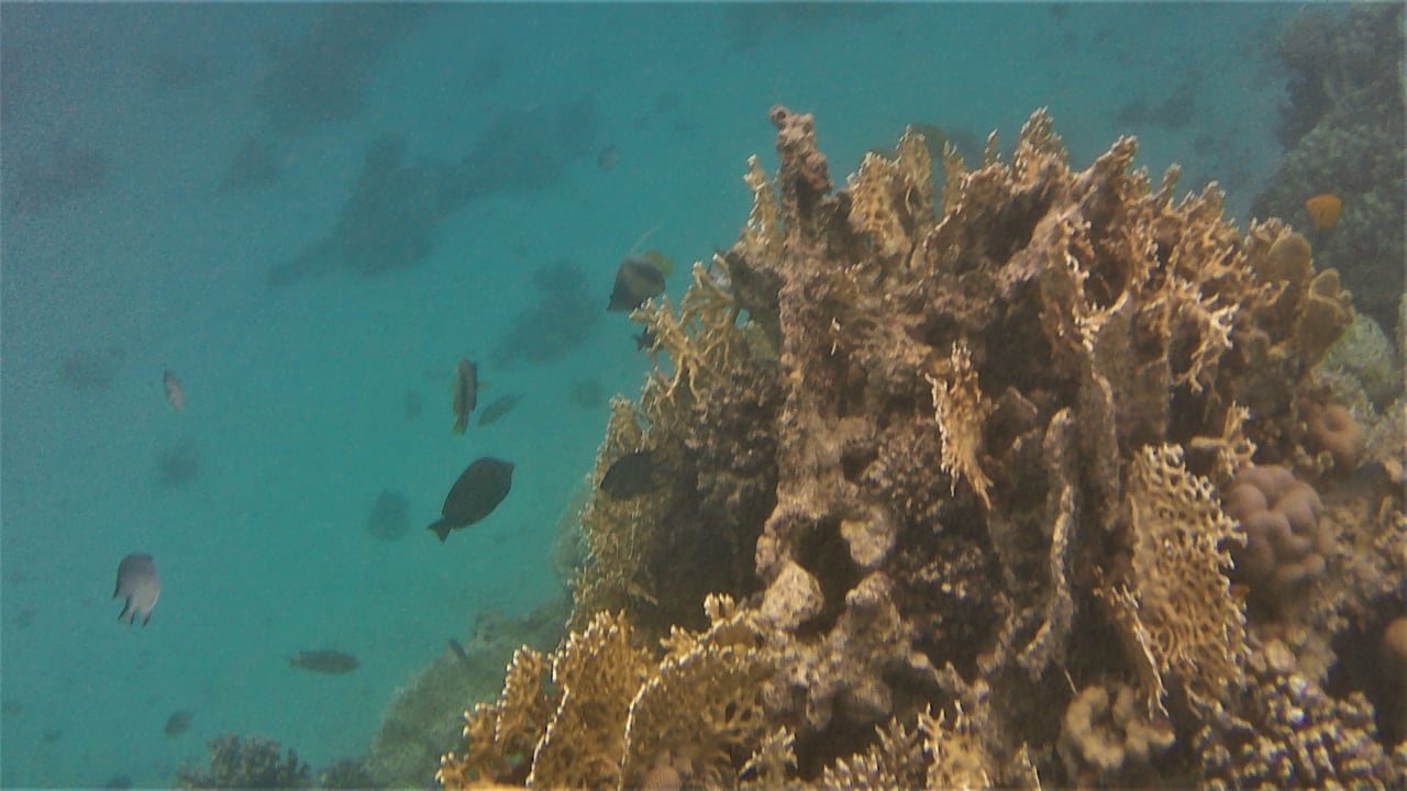 Sport & Freizeit Makadi Spa - Adults only