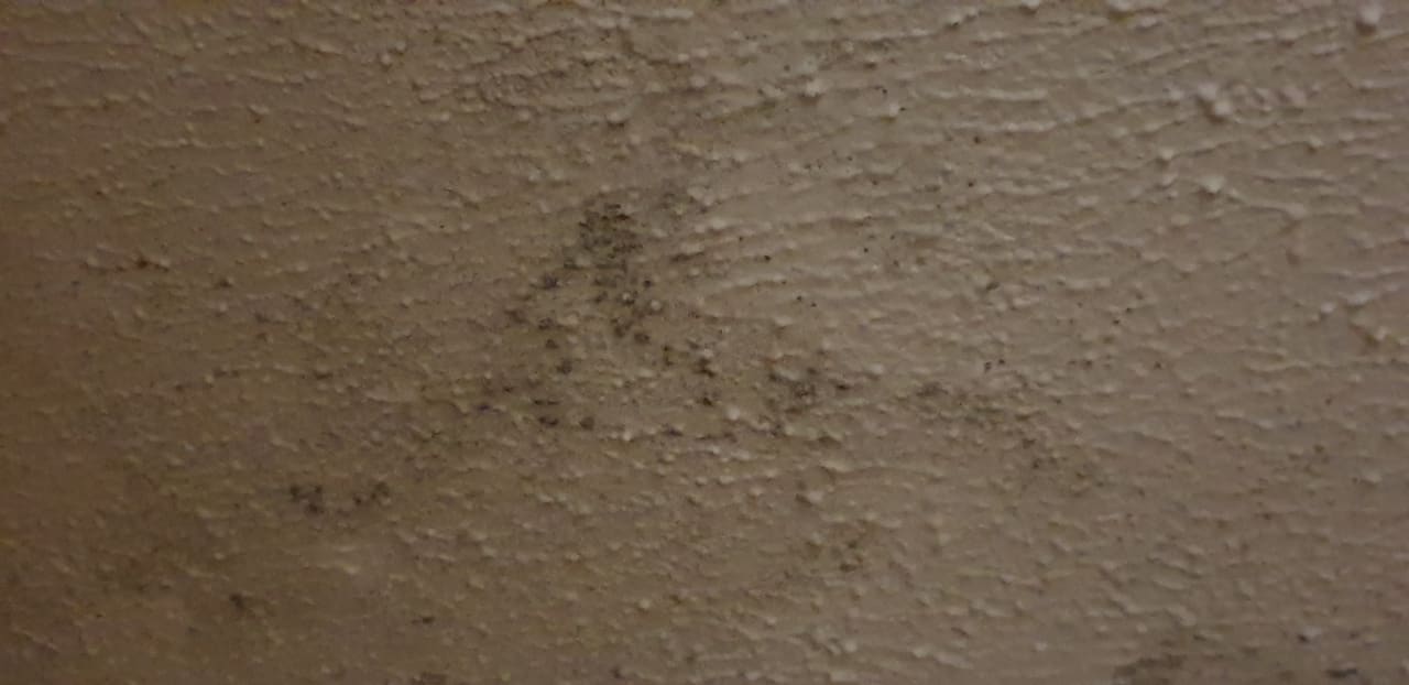 Zimmer Hotel Puntarena Playa Caleta