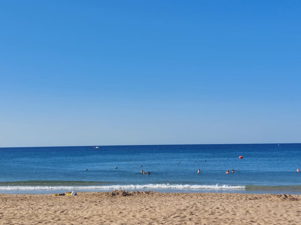 Strand AQI Pegasos Royal