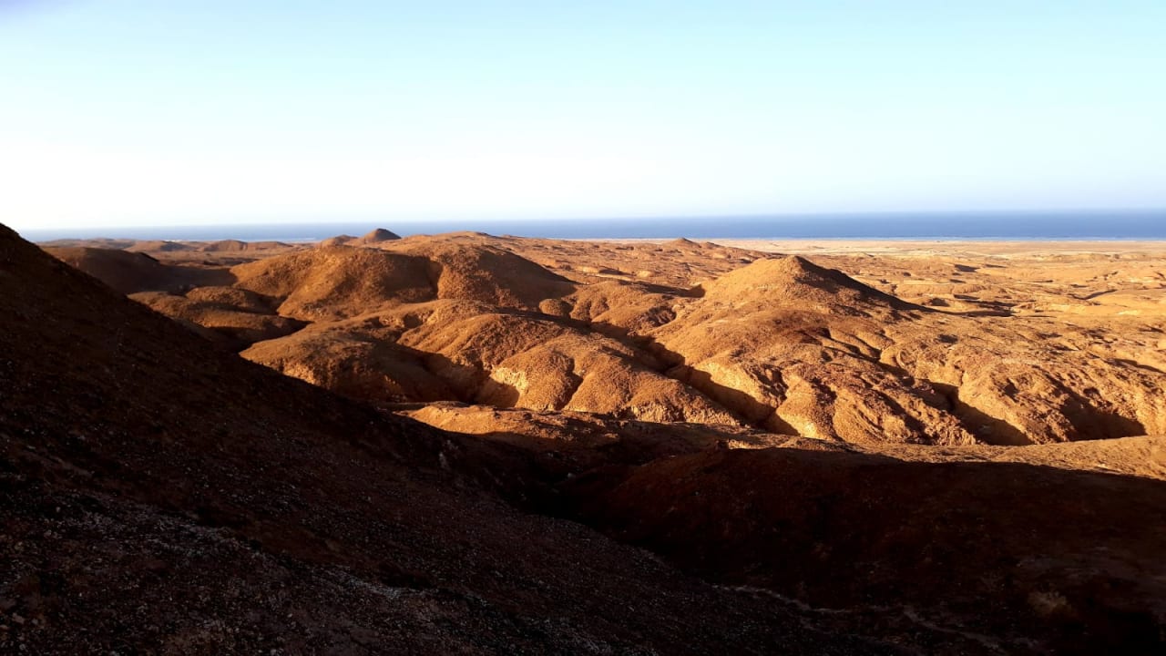 Außenansicht Hotel Gorgonia Beach Resort