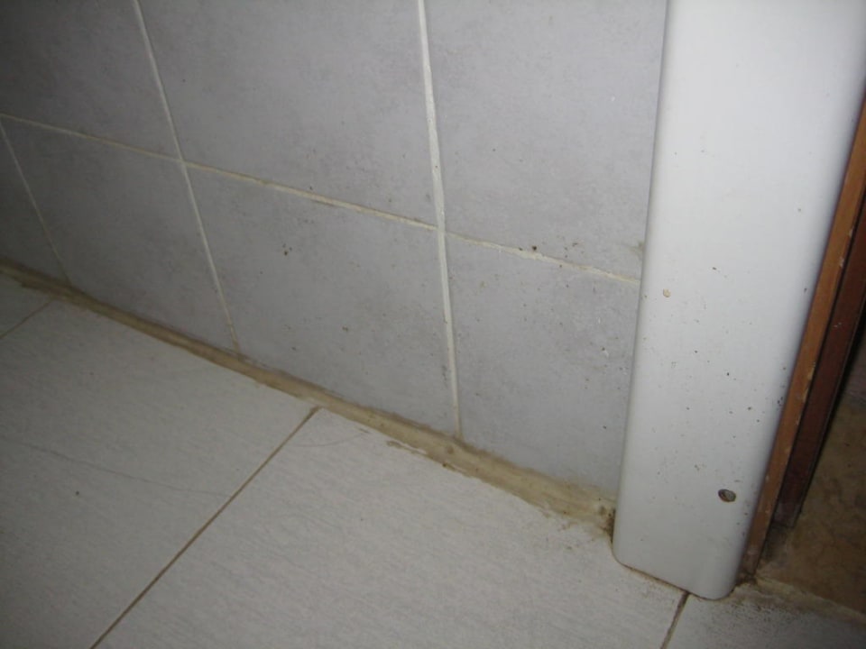 Dreckiges Bad Sea Star Beau Rivage