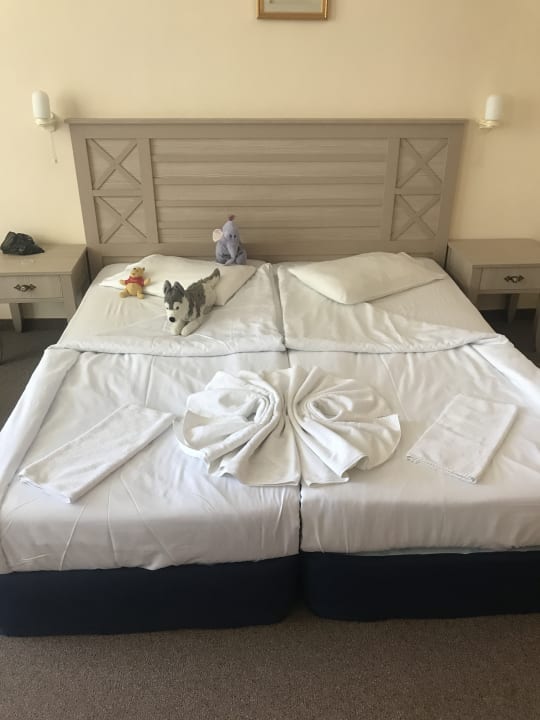 Zimmer DAS Club Hotel Sunny Beach