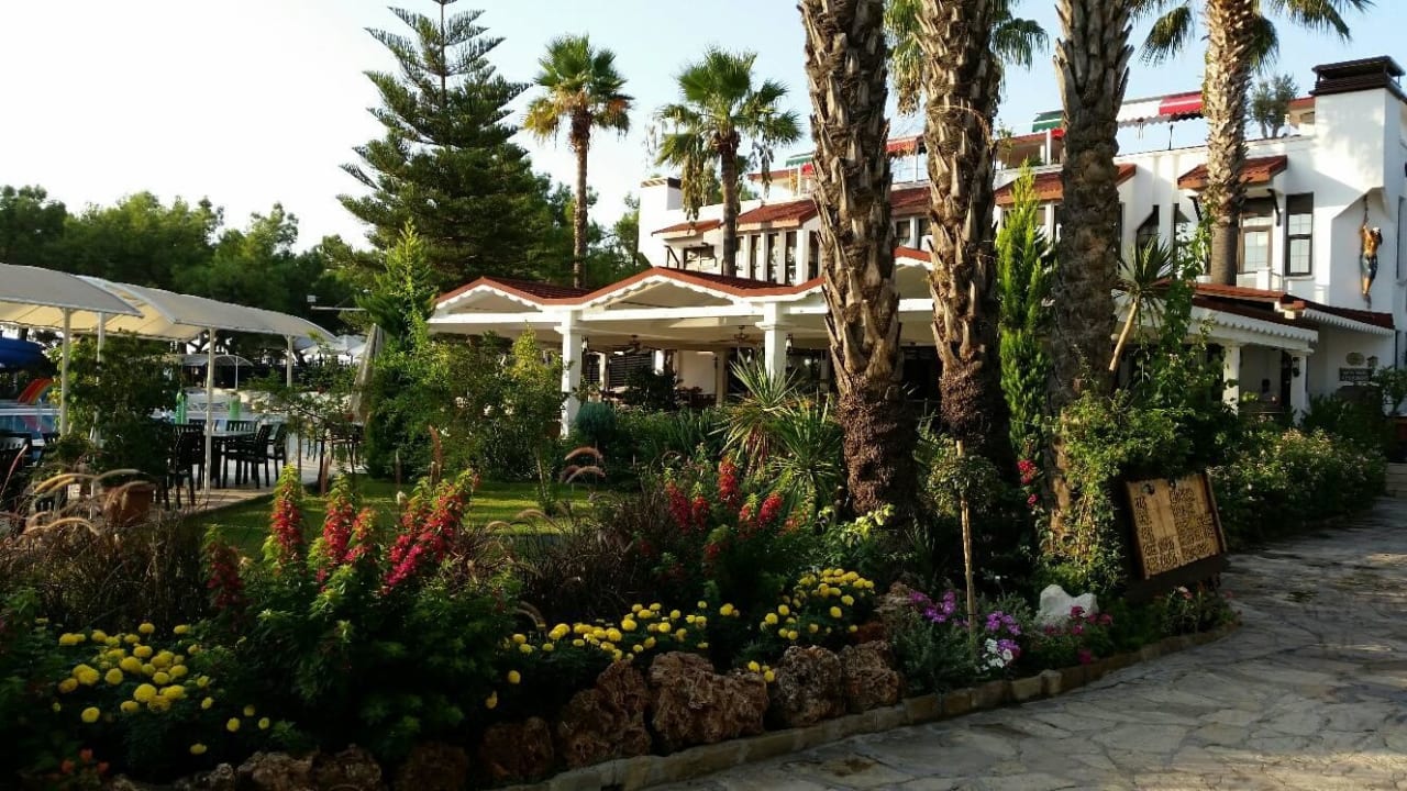 Blumen Pirate's Beach Club