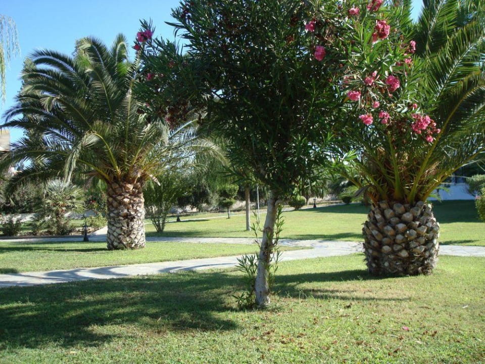 Garten Hotel Esperia