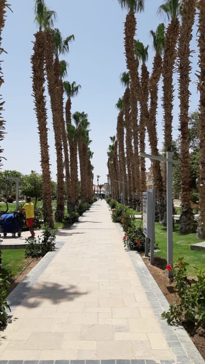 Gartenanlage Beach Albatros Resort