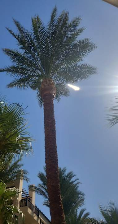 Gartenanlage Steigenberger Aqua Magic