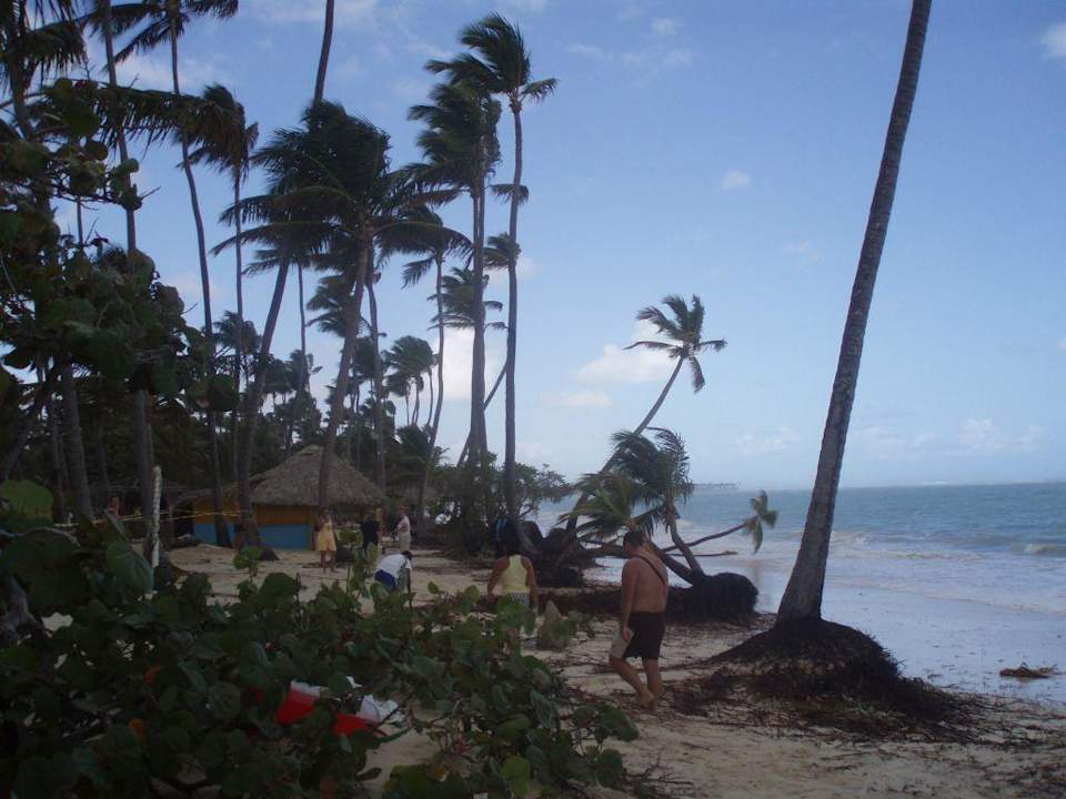 Strand nach dem Sturm 6. Hotel Grand Palladium Palace Resort, Spa & Casino