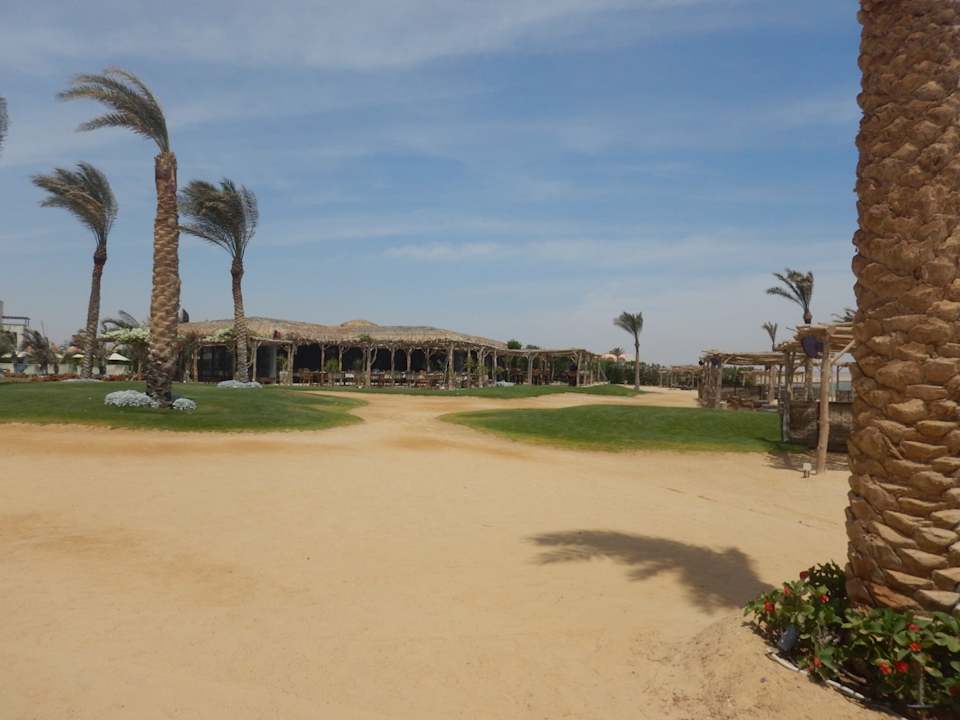 Strand Steigenberger Resort Alaya Marsa Alam - Red Sea - Adults only