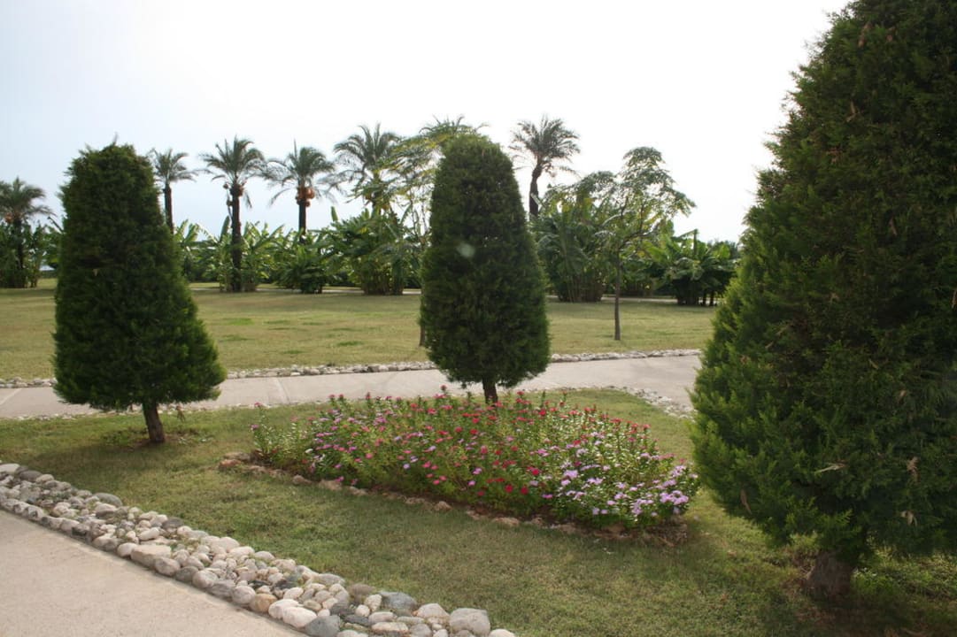 Garten IC Hotels Green Palace