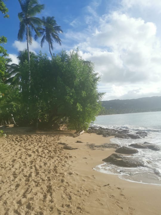 Strand Viva Wyndham Samaná