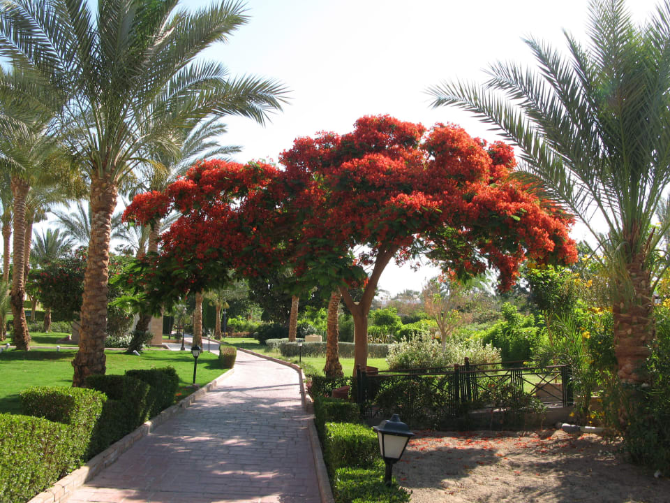 Gartenallee Golden Beach Resort