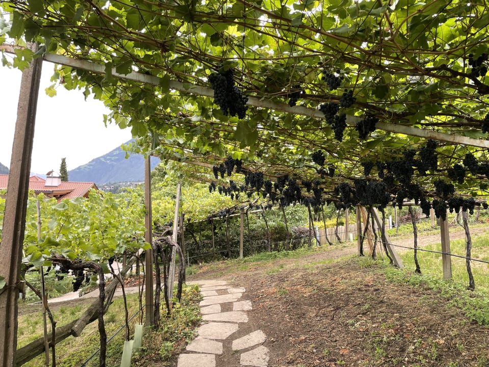 Gartenanlage Residence Lichtenberg