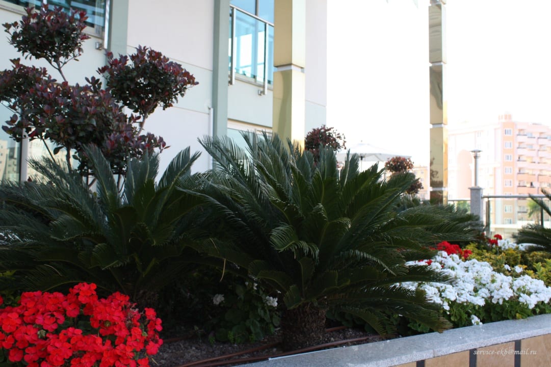 Delphin Imperial Hotel Delphin Imperial