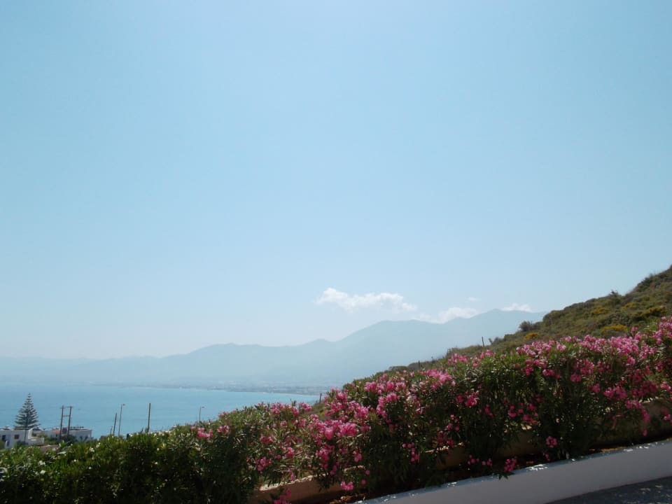 Poolbar Grand Hotel Holiday Resort