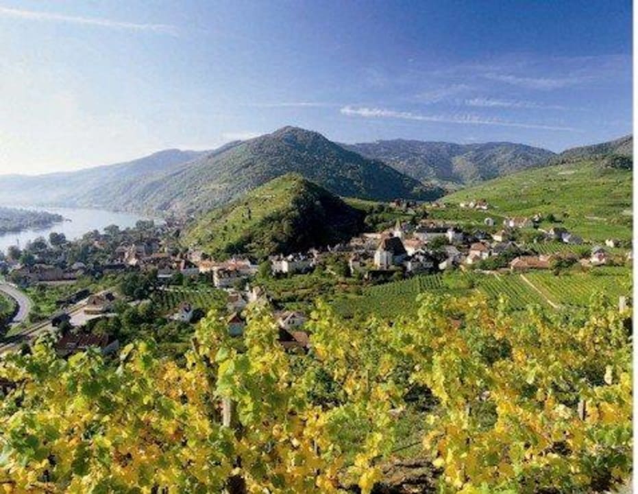 Ausblick vom Weinberg auf Spitz Weingut Donabaum & Boutiquehotel Das WeinSpitz
