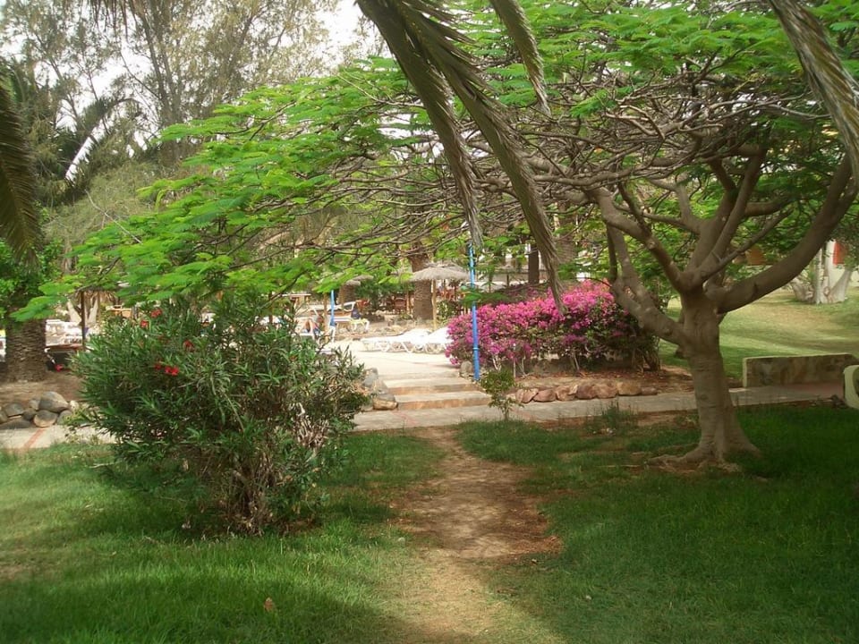 Gartenanlage SBH Fuerteventura Playa