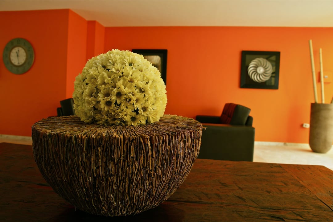 Recepción Nazaret Sol