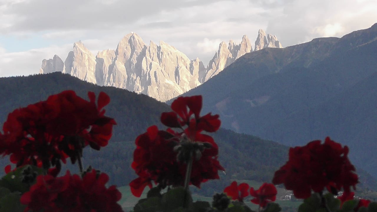 Blick vom Balkon feldthurnerhof vinum-natur-relax