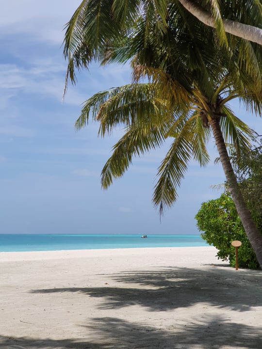 Strand Meeru Maldives Resort Island
